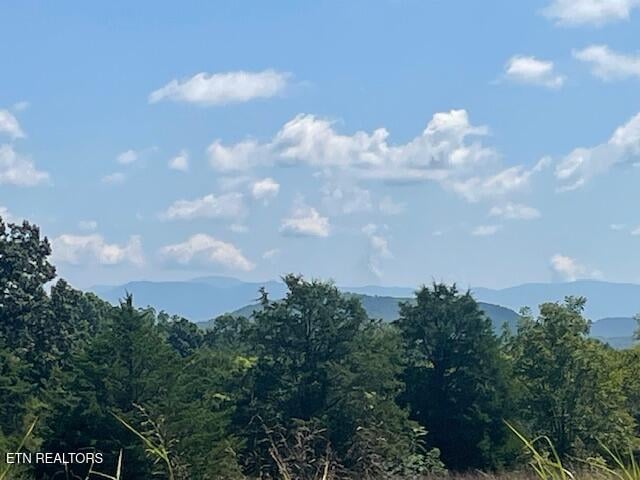 2288 Mecca Pike, Tellico Plains, TN 37385