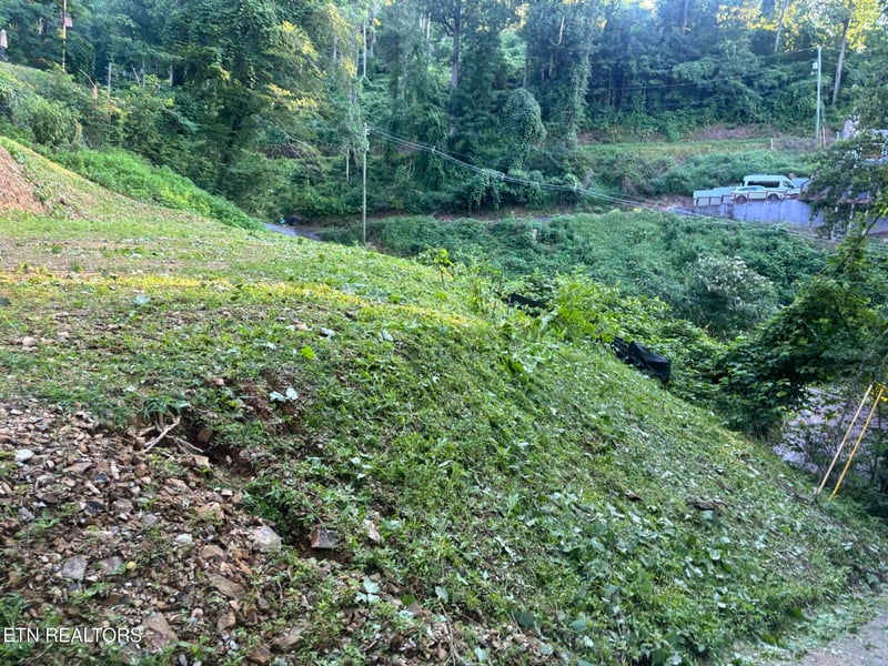 229 Silverbell Ln #3301, Gatlinburg, TN 37738