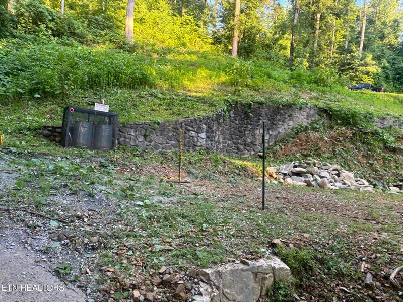 229 Silverbell Ln #3301, Gatlinburg, TN 37738