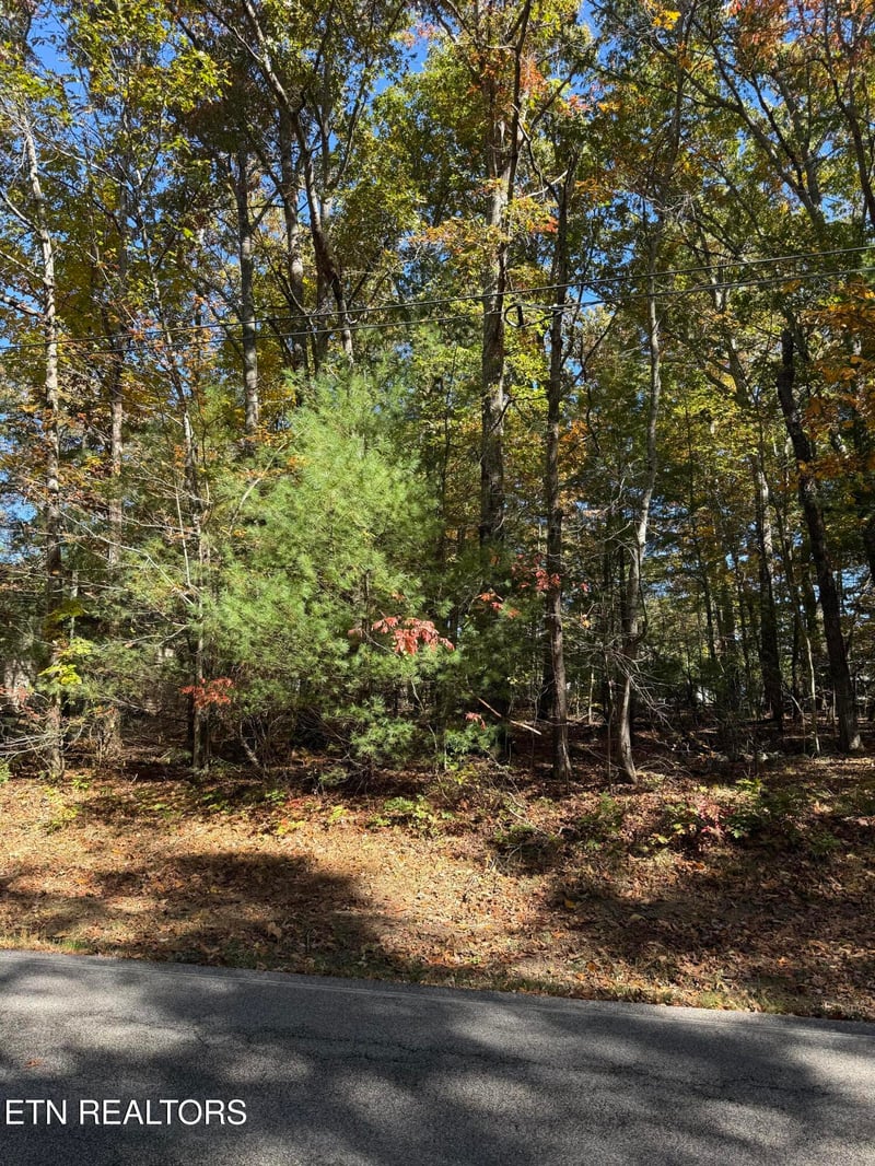 229 St George Dr, Crossville, TN 38558