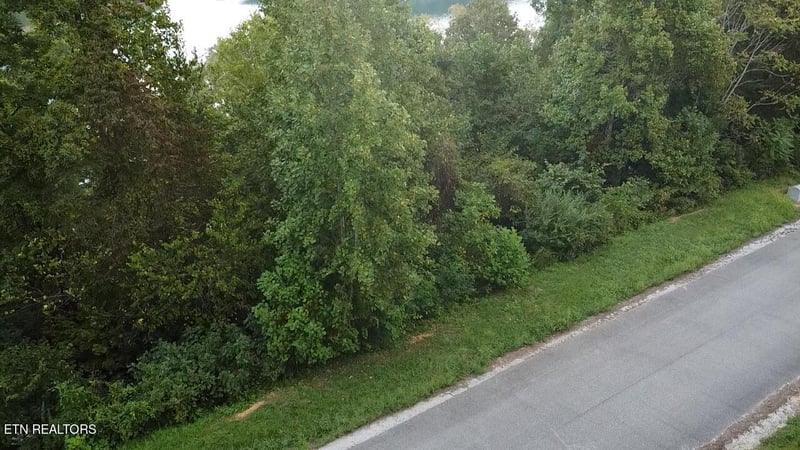 229 Suncrest Cv, Lafollette, TN 37766