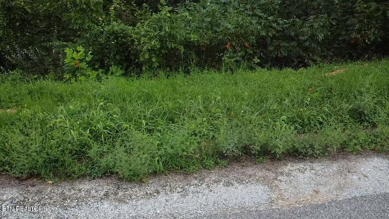229 Suncrest Cv, Lafollette, TN 37766