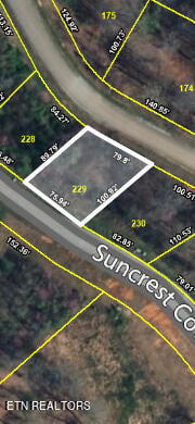 229 Suncrest Cv, Lafollette, TN 37766
