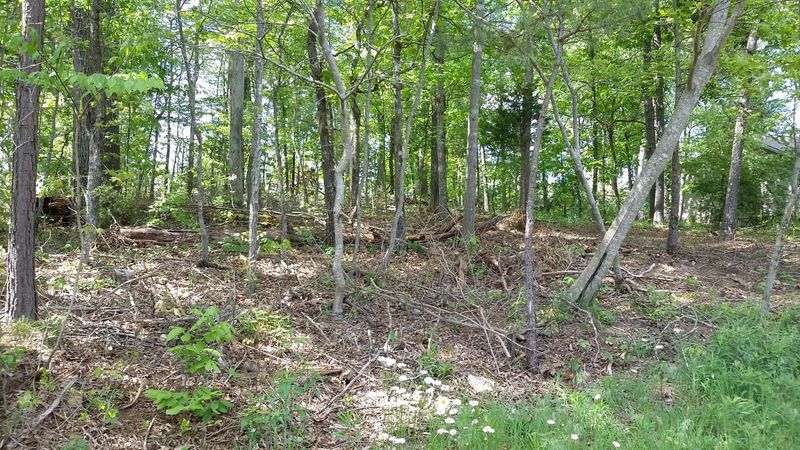 229 Tahlequah Dr, Loudon, TN 37774
