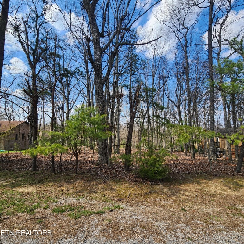 23 Ridge Crest Ct, Crossville, TN 38558