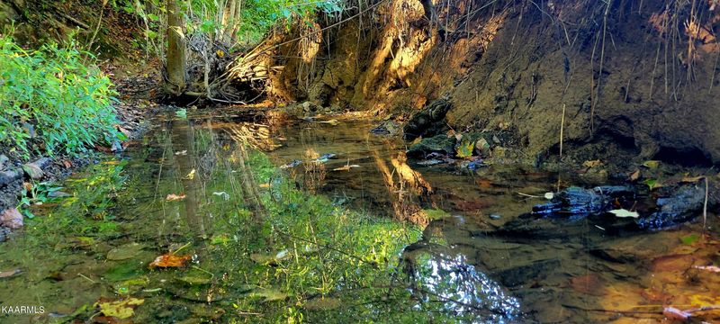 230-3 Reagan Branch Rd, Seymour, TN 37865