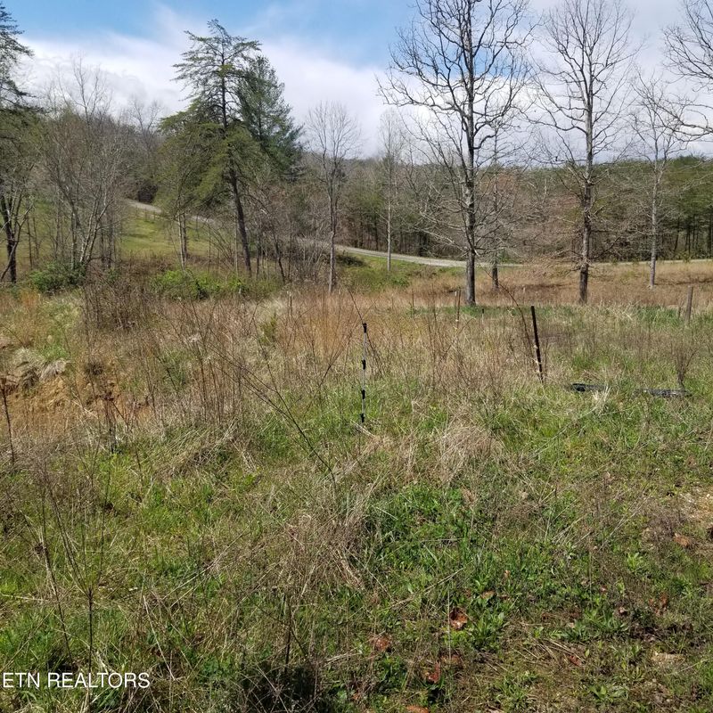 230 Abigail Trl, Deer Lodge, TN 37726