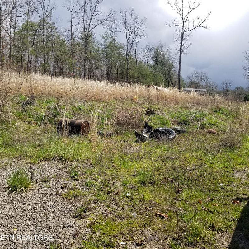 230 Abigail Trl, Deer Lodge, TN 37726