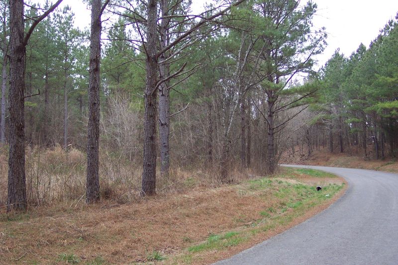 230 Co Rd 41, Calhoun, TN 37309