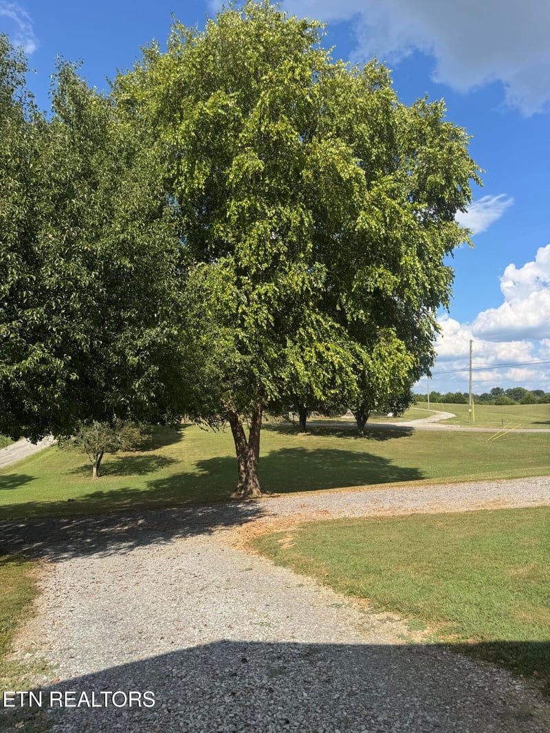 230 Ingram Rd, Madisonville, TN 37354