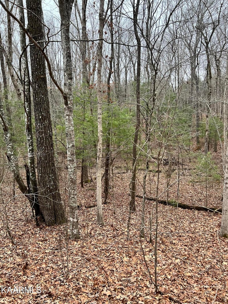 230 St George Dr, Crossville, TN 38558