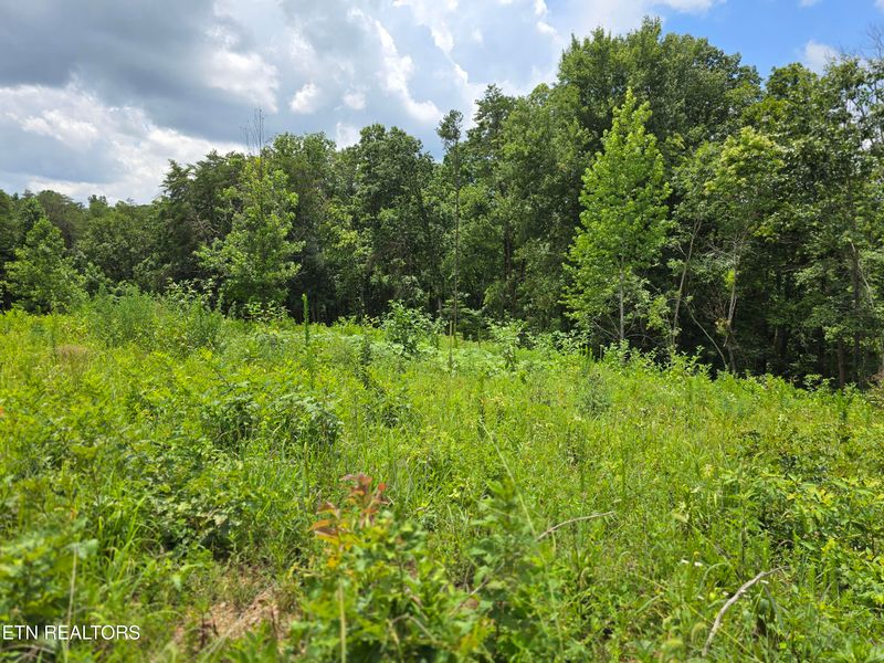 230 Wells Rd Lot 9, Powell, TN 37849