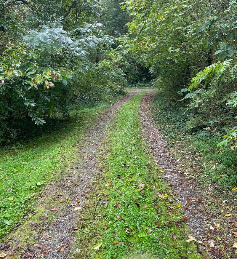 2302 Mount Olive Rd, Knoxville, TN 37920