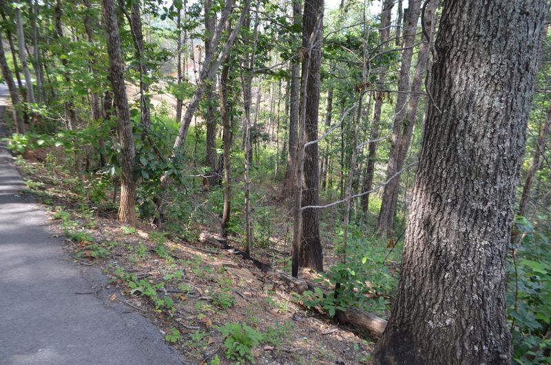 2305 Panther Way, Sevierville, TN 37876