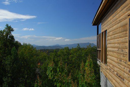 2309 Fox Berry Way, Sevierville, TN 37876