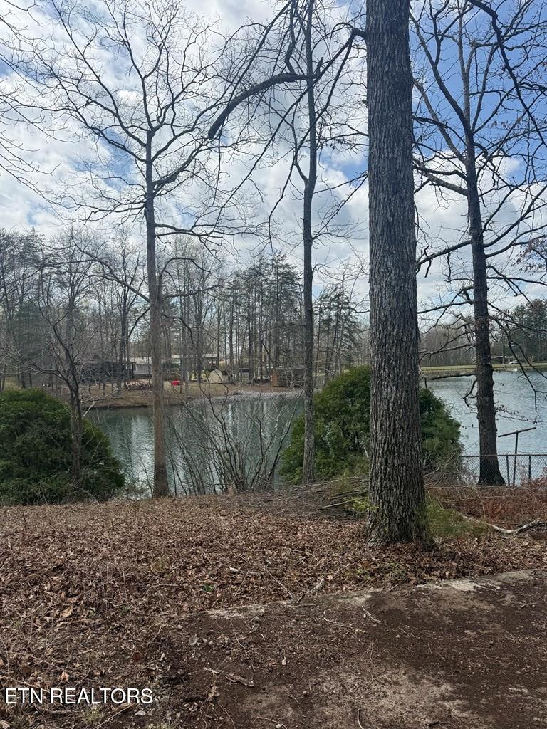 231 Crockett Lake Dr, Crossville, TN 38572