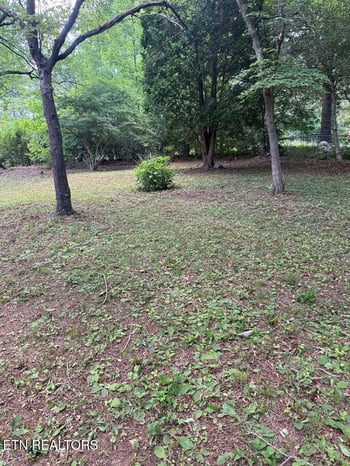 231 Crockett Lake Dr, Crossville, TN 38572