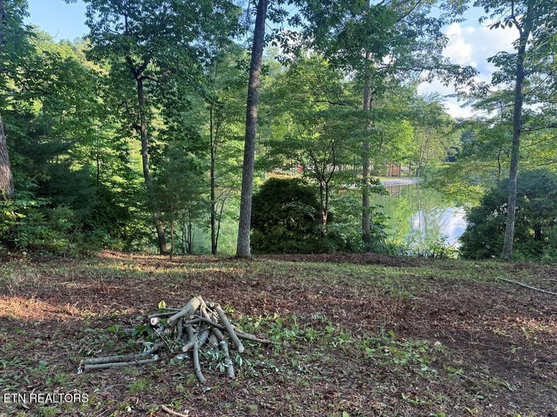 231 Crockett Lake Dr, Crossville, TN 38572