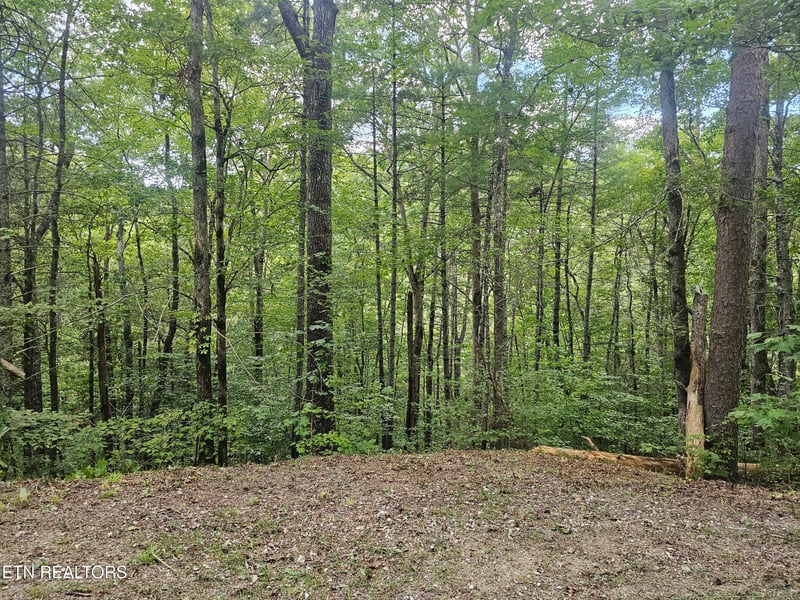 231 Low Gap Tr, Townsend, TN 37882