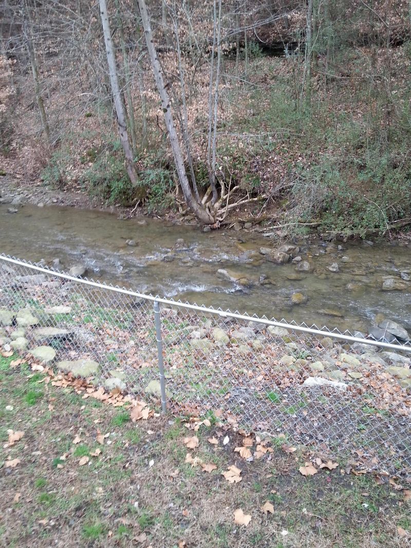 231 Slate Stone Rd, Briceville, TN 37710