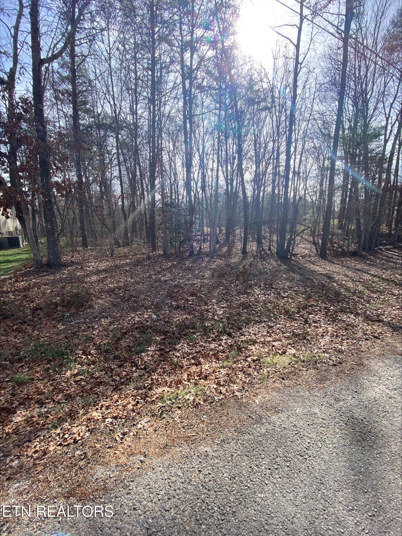 231 Thrushwood Dr, Fairfield Glade, TN 38558