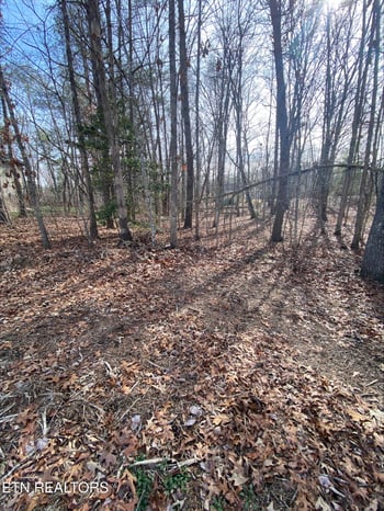 231 Thrushwood Dr, Fairfield Glade, TN 38558