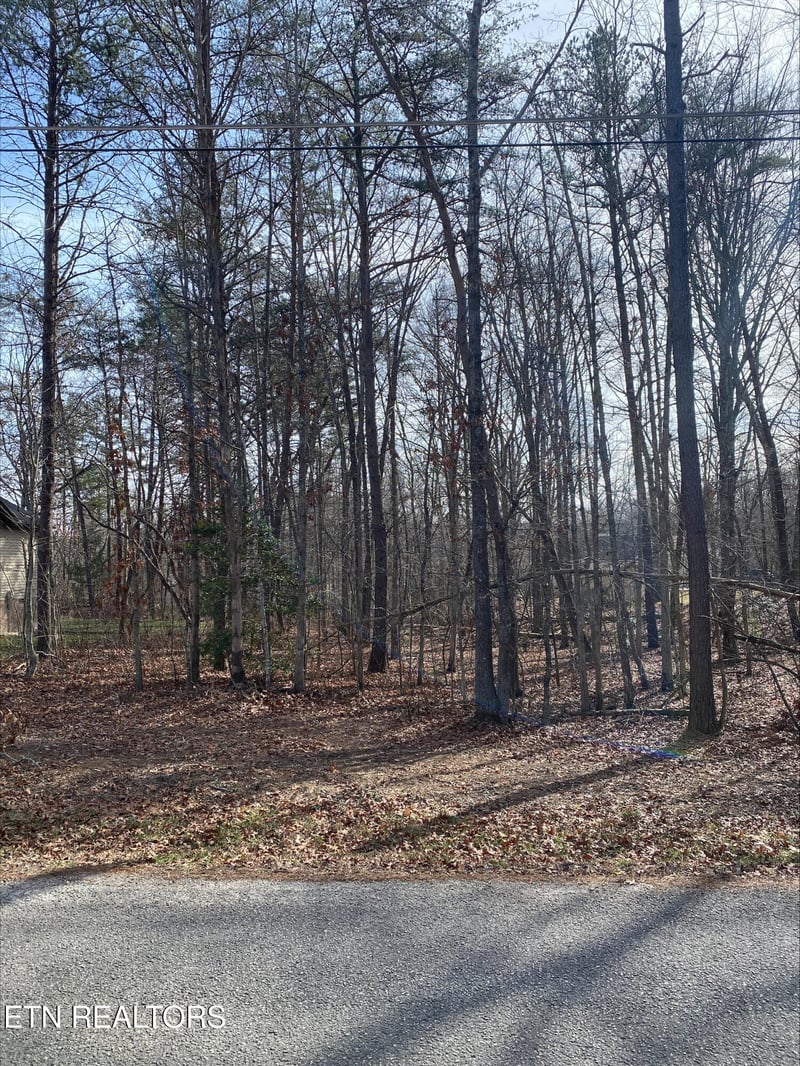 231 Thrushwood Dr, Fairfield Glade, TN 38558