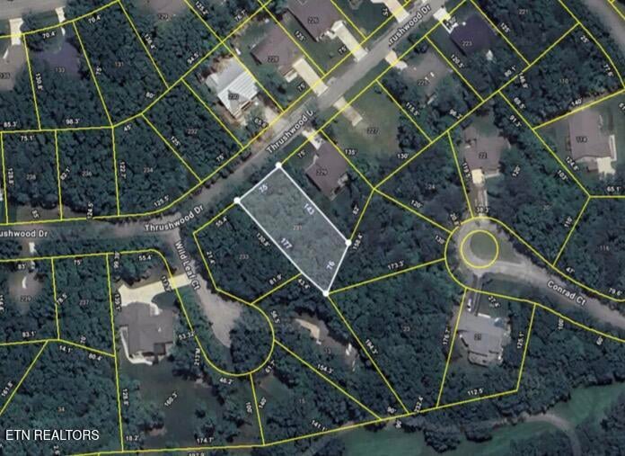 231 Thrushwood Dr, Fairfield Glade, TN 38558