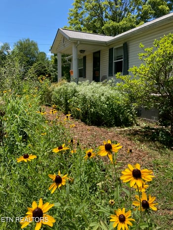 231 Wright Rd, Oliver Springs, TN 37840