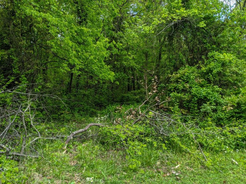 2311 River Rd, Kingston, TN 37763