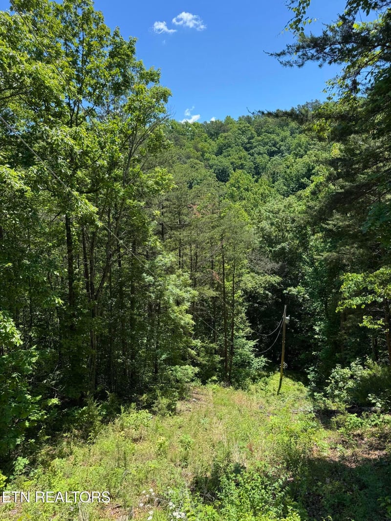 2313 High View Rd, Sevierville, TN 37876
