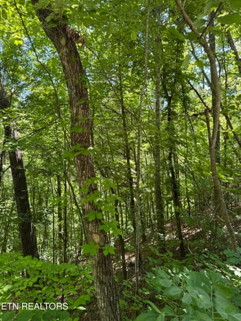 2313 High View Rd, Sevierville, TN 37876