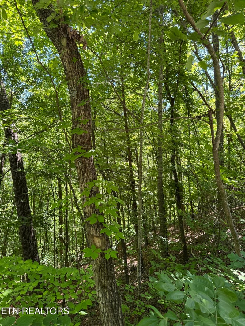 2313 High View Rd, Sevierville, TN 37876
