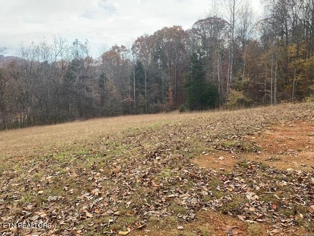 2315 E Wolf Valley Rd, Clinton, TN 37716