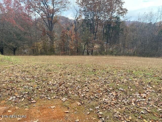2315 E Wolf Valley Rd, Clinton, TN 37716