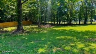 2315 Pine Grove Rd, Winfield, TN 37892