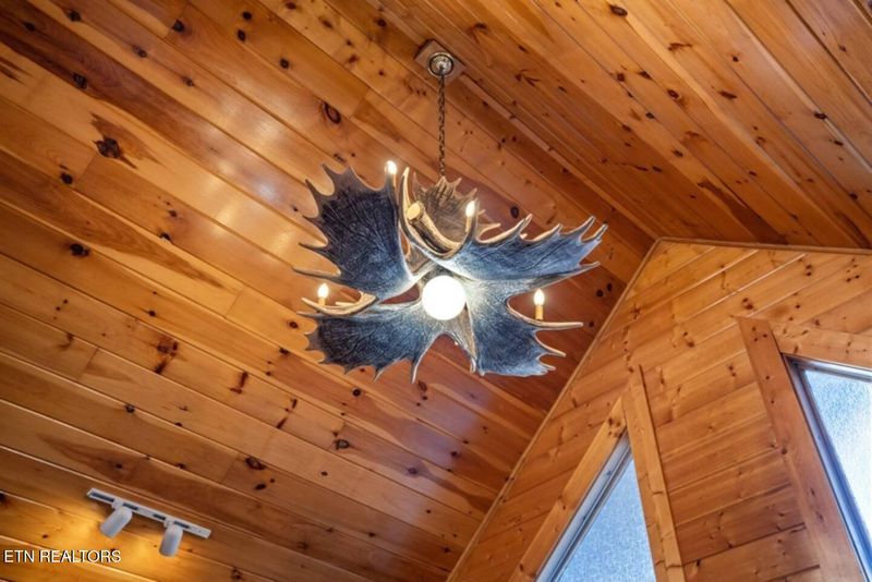 232 Moose Ridge Way, Pigeon Forge, TN 37863