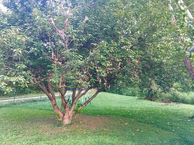 2325 Dutch Valley Rd, Clinton, TN 37716