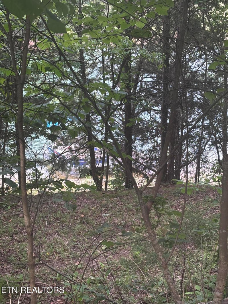 2327 Boat Dock Rd, Talbott, TN 37877