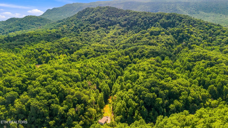 2327 Dripping Springs Rd, Seymour, TN 37865