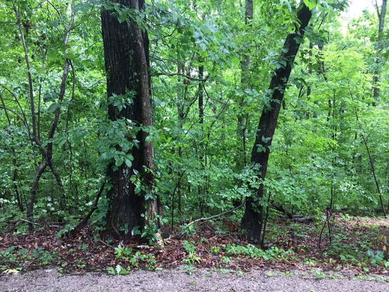 233 Gadusi Tc, Loudon, TN 37774