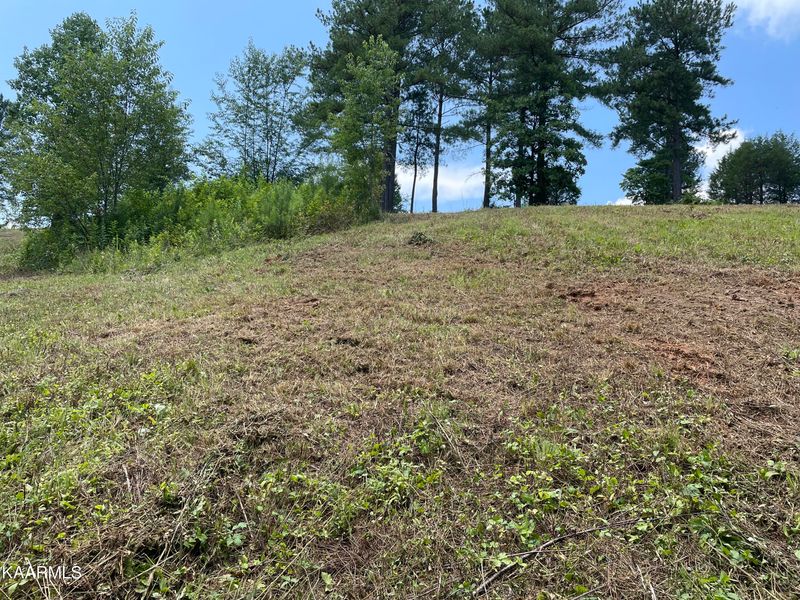 234 Lake Ferry Dr, Loudon, TN 37774