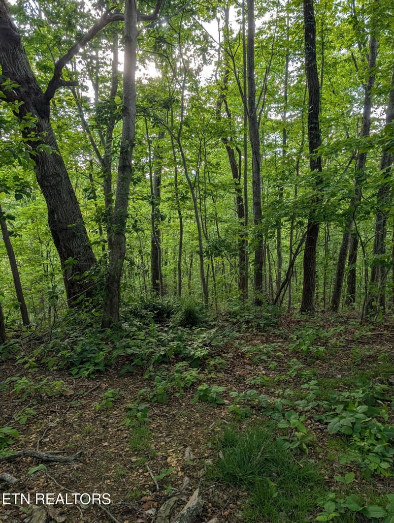 2341 Jims Way, Sevierville, TN 37876