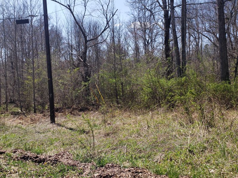 2349 Black Creek Rd, Robbins, TN 37852