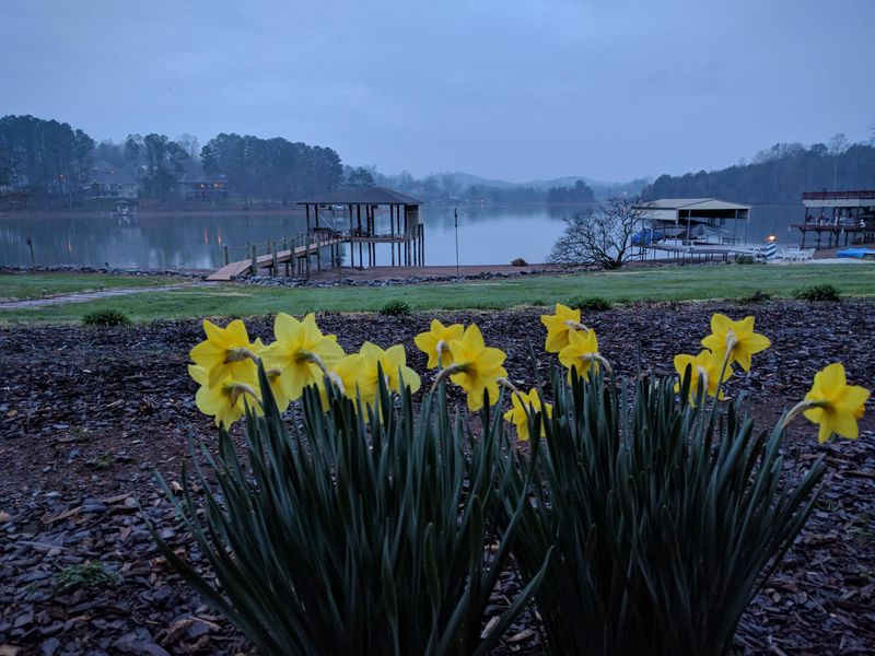 235 Chatuga Way, Loudon, TN 37774