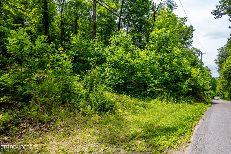 2353 Dave Smith Rd, Kodak, TN 37764