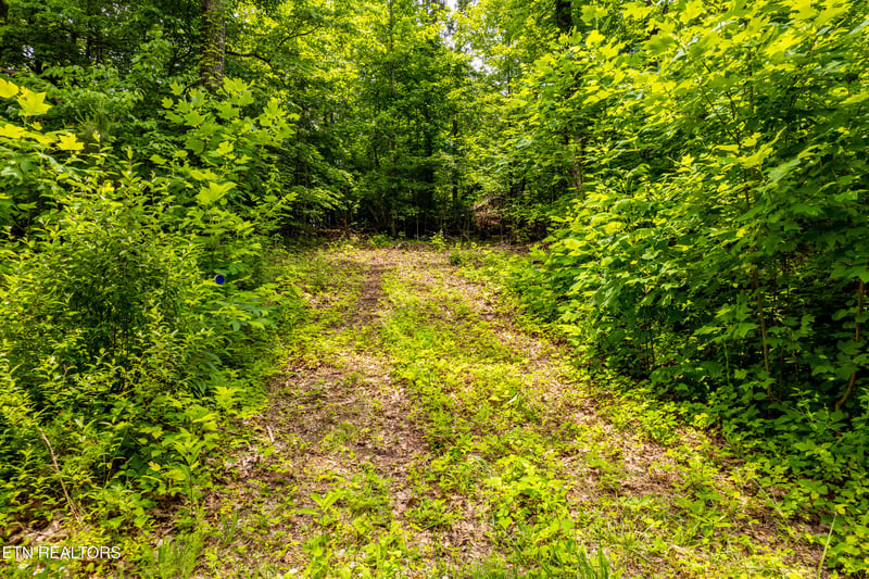 2353 Dave Smith Rd, Kodak, TN 37764