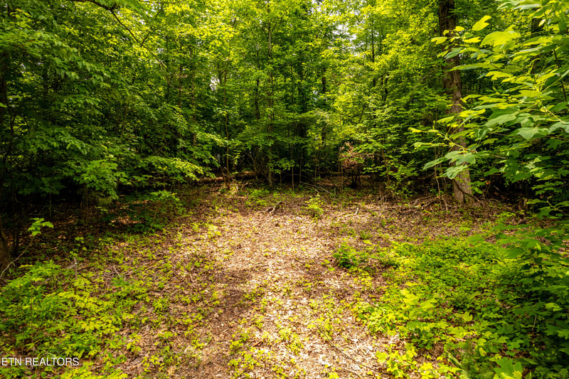 2353 Dave Smith Rd, Kodak, TN 37764