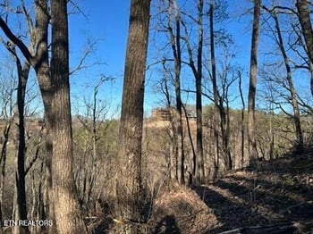 2353 Headrick Lead, Sevierville, TN 37862
