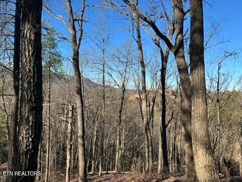 2353 Headrick Lead, Sevierville, TN 37862